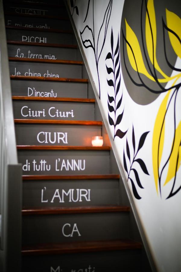 Ciuri's House